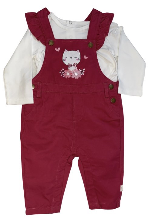 2 piece cat overall set